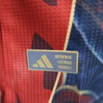 Manchester United Special Edition Shirt Player Edition Soccerl Jersey 25-26